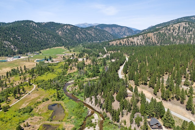 birds eye view of property featuring a mountain view