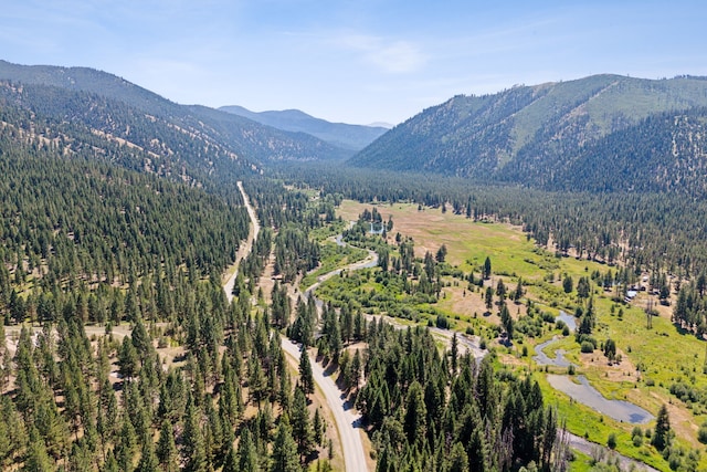 view of mountain feature featuring a wooded view