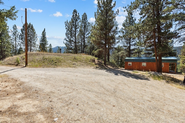 view of yard featuring driveway