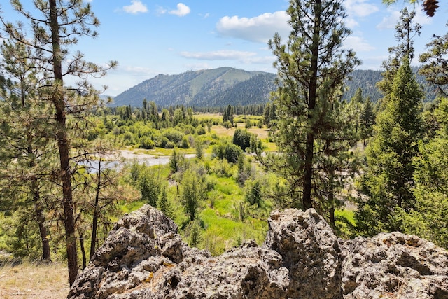 property view of mountains with a forest view