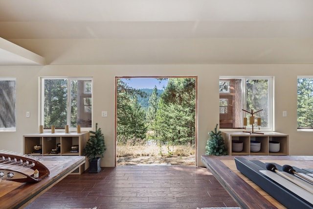 entryway with plenty of natural light and dark wood-type flooring