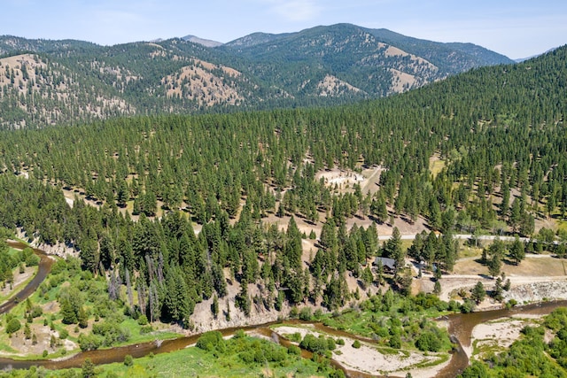 mountain view with a forest view