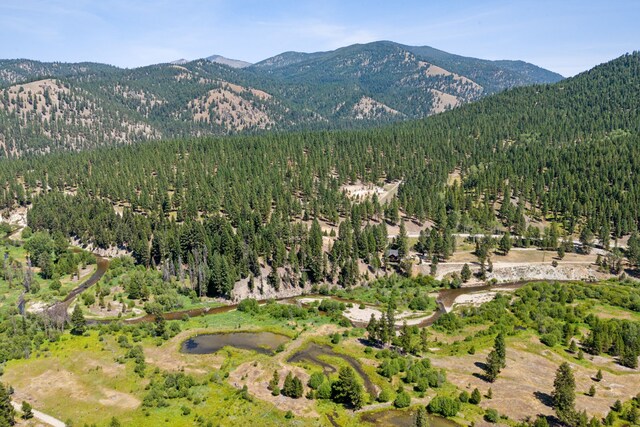 mountain view featuring a forest view