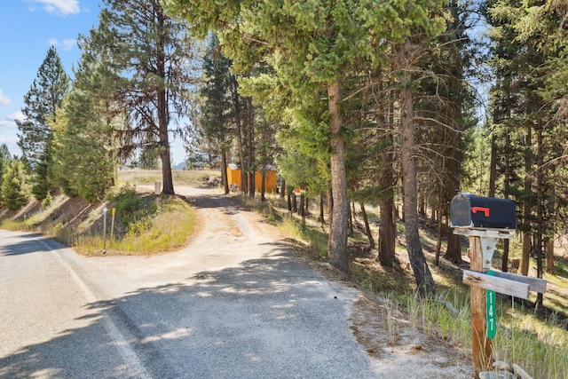 view of road featuring dirt driveway