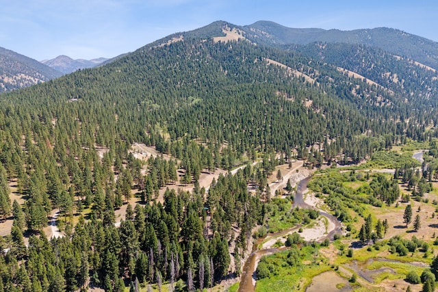 aerial view featuring a forest view and a mountain view