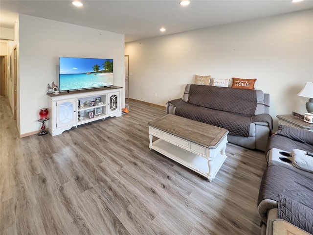 living room featuring hardwood / wood-style flooring