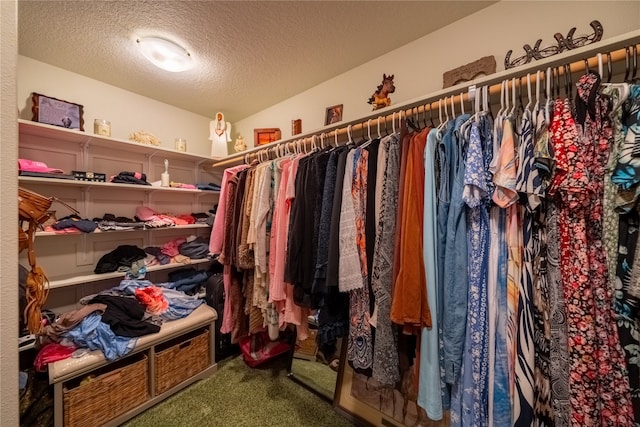 spacious closet with carpet flooring