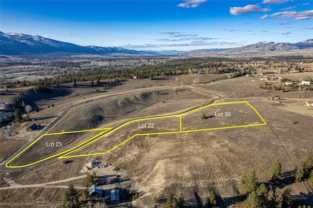 1087 Rugged Ridge Rd, Stevensville, MT 59870