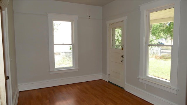 doorway with wood-type flooring