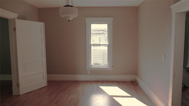 empty room with wood-type flooring