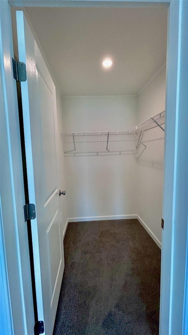 walk in closet with carpet