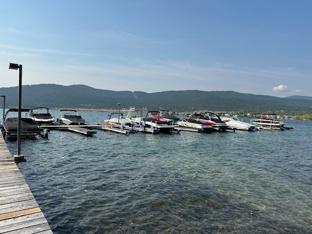 water view featuring a mountain view and a boat dock