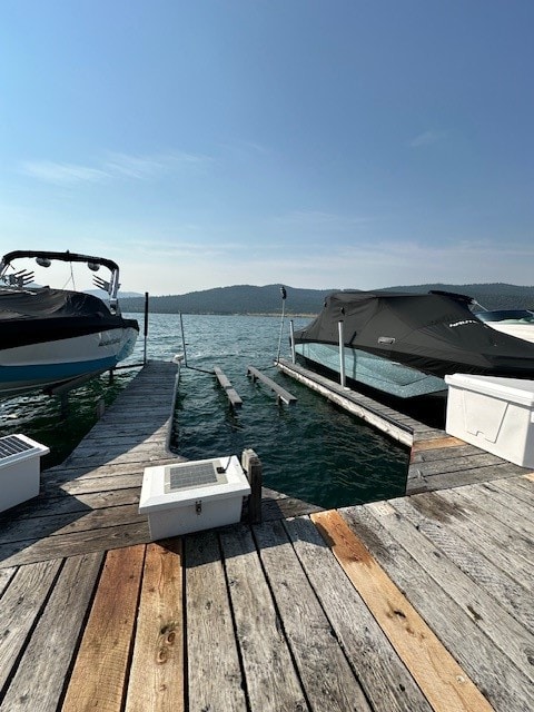 dock area with a water view