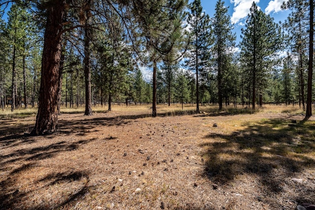 view of local wilderness featuring a view of trees