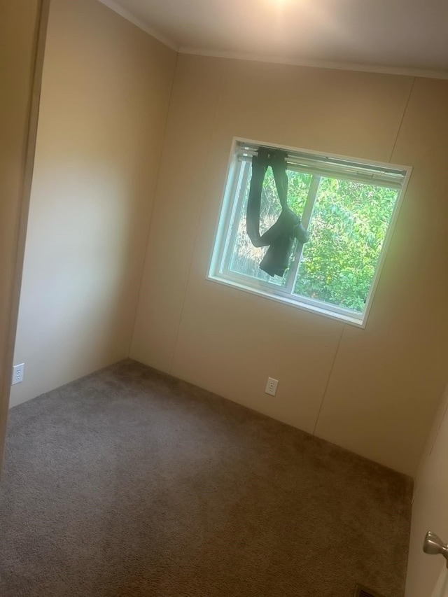 carpeted empty room featuring ornamental molding