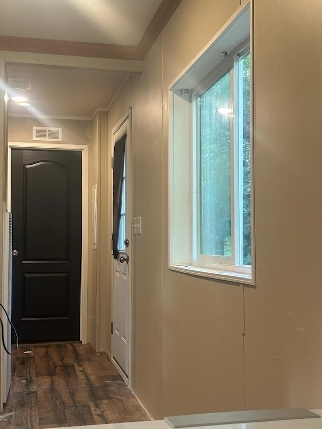 doorway to outside featuring dark wood-style floors, visible vents, and a wealth of natural light