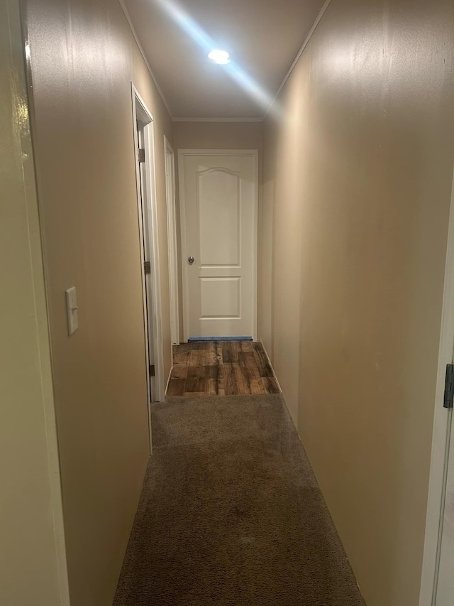 corridor with ornamental molding and dark colored carpet