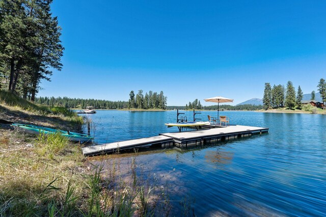 dock area featuring a water view