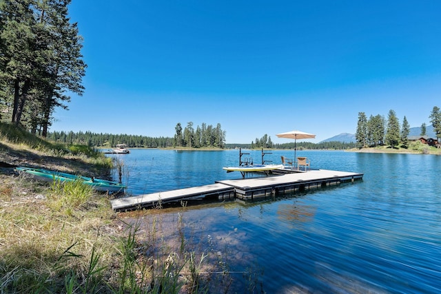 dock area with a water view