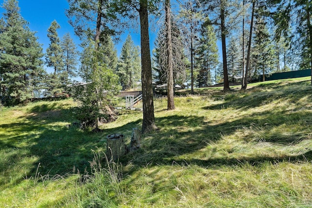 548 W Village Dr, Bigfork, MT 59911 - view of yard