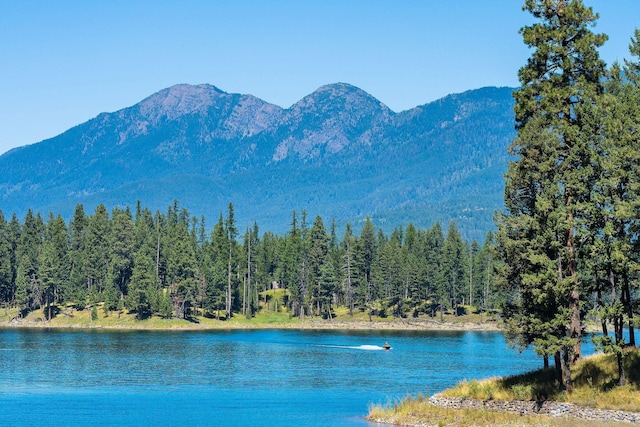 property view of water featuring a mountain view and a wooded view