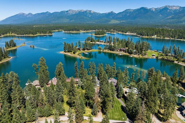 birds eye view of property with a water and mountain view