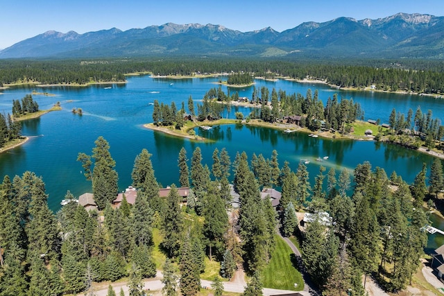 birds eye view of property featuring a forest view and a water and mountain view