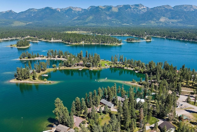 bird's eye view featuring a forest view and a water and mountain view