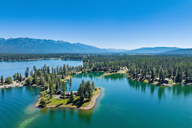 bird's eye view featuring a view of trees and a water and mountain view