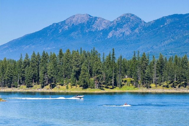 property view of water featuring a forest view and a mountain view