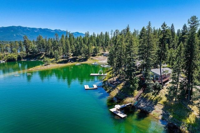 birds eye view of property featuring a water and mountain view and a view of trees