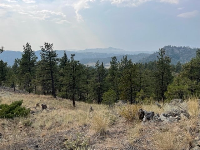 Listing photo 2 for TBD Mountain Home Lane, Cascade MT 59421