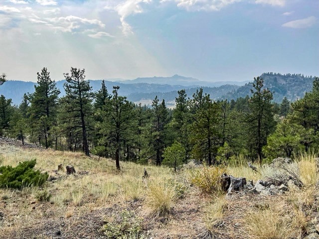 Listing photo 3 for TBD Mountain Home Lane, Cascade MT 59421