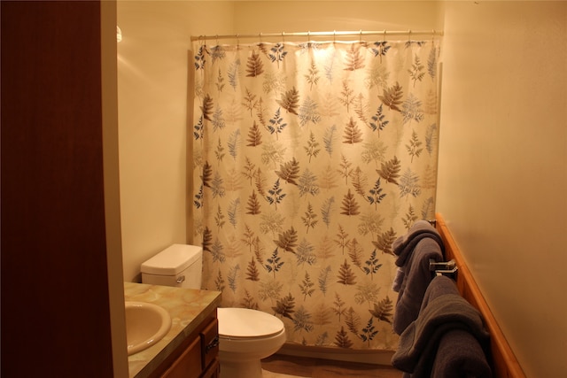 bathroom with vanity, toilet, and wood-type flooring