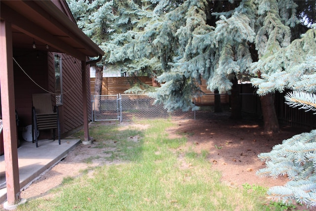 220 Fox Farm Dr, Whitefish, MT 59937 - view of yard