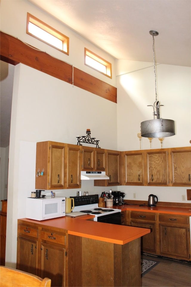 220 Fox Farm Dr, Whitefish, MT 59937 - kitchen featuring white appliances, under cabinet range hood, brown cabinetry, high vaulted ceiling, and dark wood finished floors