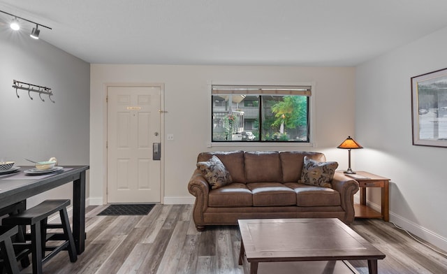living room with wood finished floors, rail lighting, and baseboards