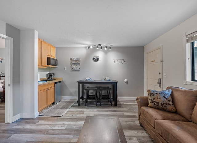 living room with baseboards and light wood-style floors
