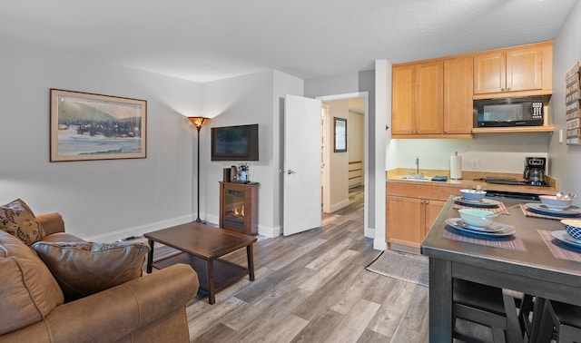 living area featuring light wood-style flooring and baseboards