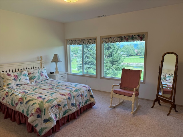 bedroom with carpet