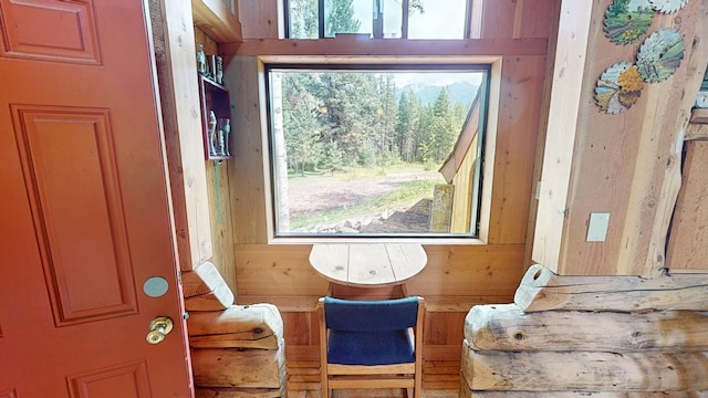 living area featuring wooden walls and a healthy amount of sunlight