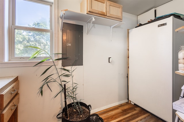 kitchen featuring electric panel, dark hardwood / wood-style floors, and white fridge