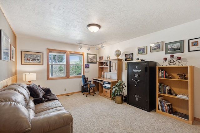 carpeted living room with a textured ceiling and track lighting