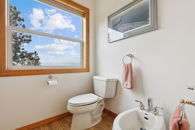 bathroom with a bidet, plenty of natural light, and hardwood / wood-style floors