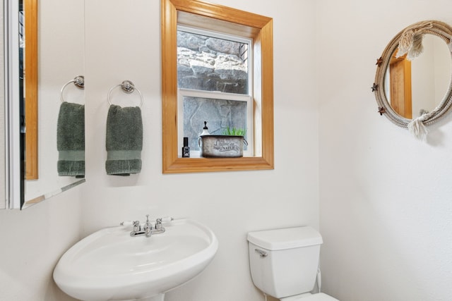 bathroom featuring sink and toilet