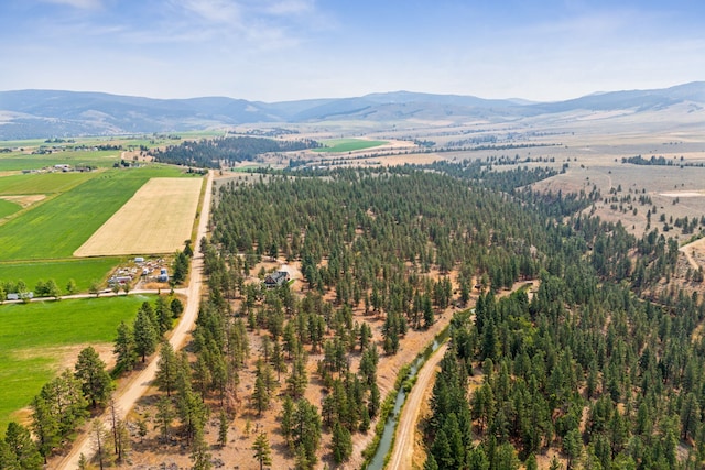 birds eye view of property featuring a mountain view