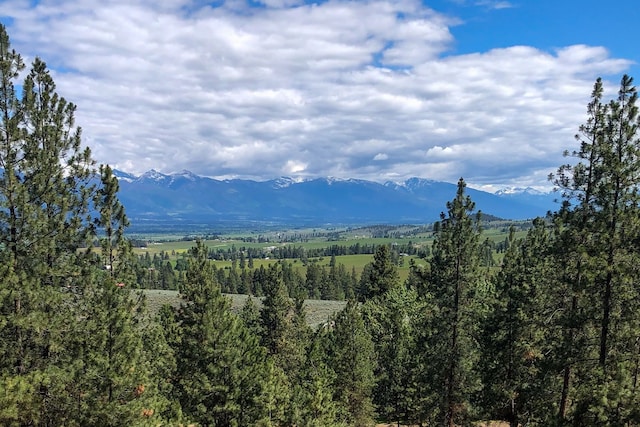 view of mountain feature