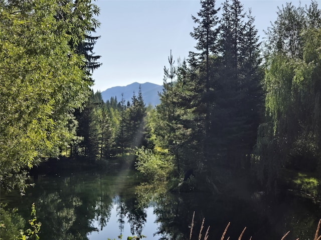 property view of water with a mountain view