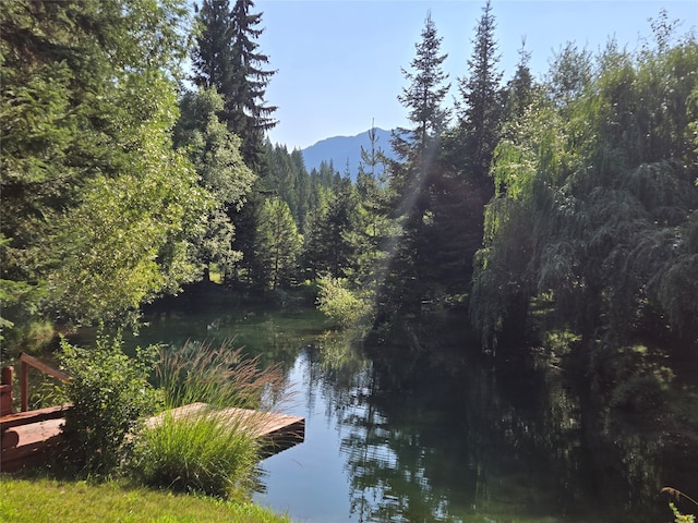 property view of water with a mountain view