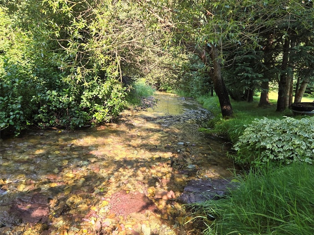 view of local wilderness